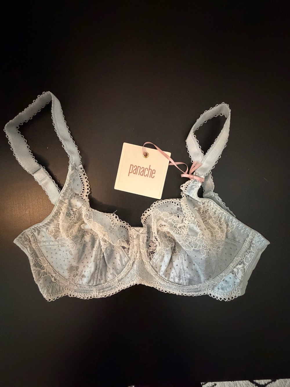 Panache Clara Full Cup Lace Bra 30E Blue Ivory NWT